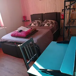  Appartement Type 1bis France